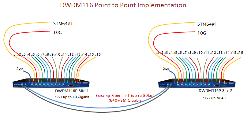 Plexstar DWDM Application