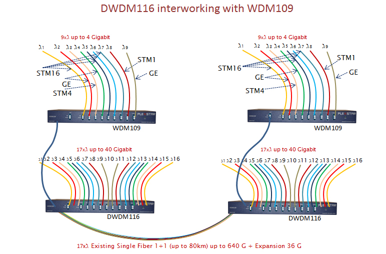 Plexstar DWDM Application